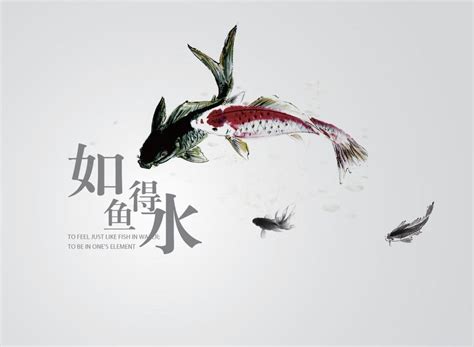 如魚得水 意思|如鱼得水的意思